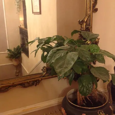 Apartament La Casa Dell'angelo Servigliano